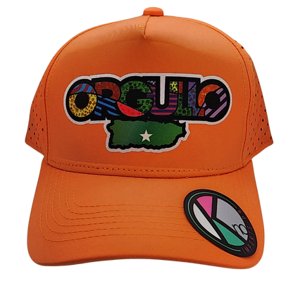 BoriCap - "Orgullo Boricua"
