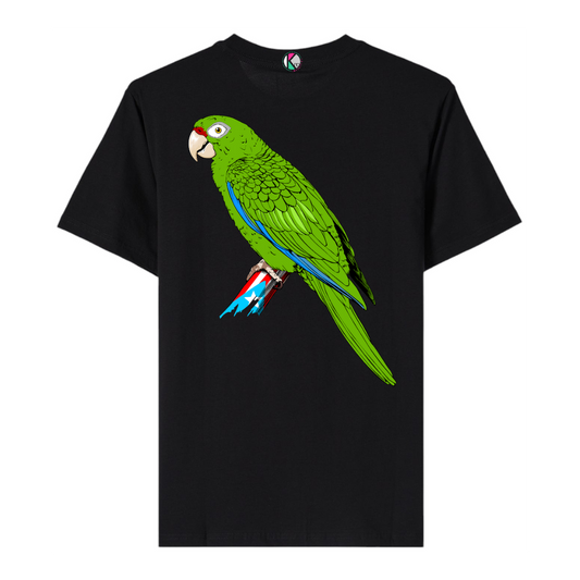 Camisa Bori - Cotorra Puertorriqueña