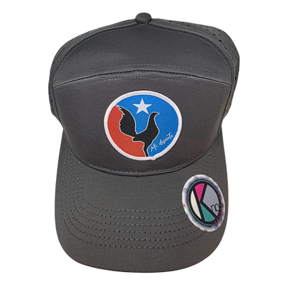BoriCap – “Mi Deporte” Gallo Boricua