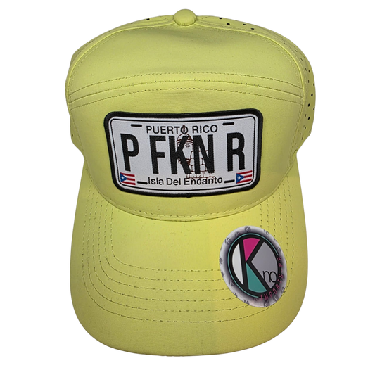 BoriCap – Soja de “PFKN R”