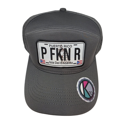 BoriCap – Soja de “PFKN R”