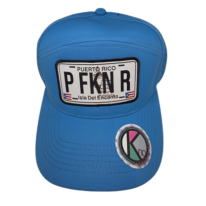 BoriCap – Soja de “PFKN R”