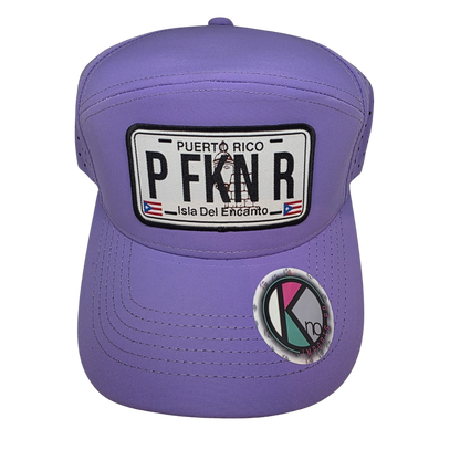 BoriCap – Soja de “PFKN R”
